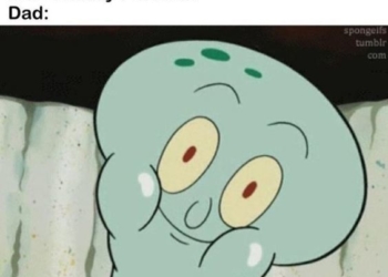 15 Stupid Memes That Are Stupidly Fun!