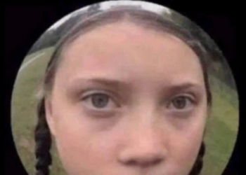 15 Relatable Greta Memes You Shouldn’t Miss