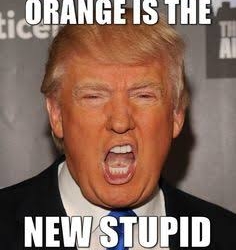 Crazy Funny Trump Memes that will keep the crowd laughing