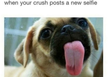 Our Favorite Collection of Crush Memes and Puns in 2023