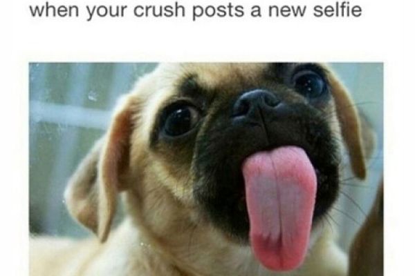 Our Favorite Collection of Crush Memes and Puns in 2023