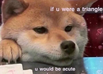 Our Best Collection of Cute Memes and Puns