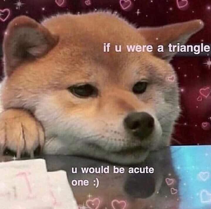 Our Best Collection of Cute Memes and Puns