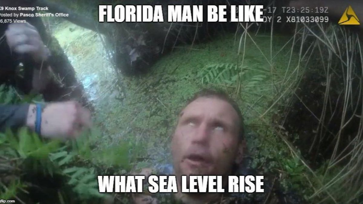 Top 12 Florida Memes of 2023 (New Collection)