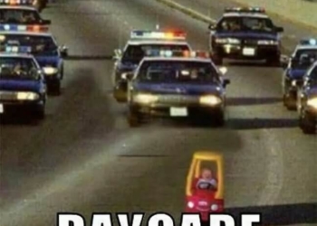 An Extraordinary Collection of Policeman Memes