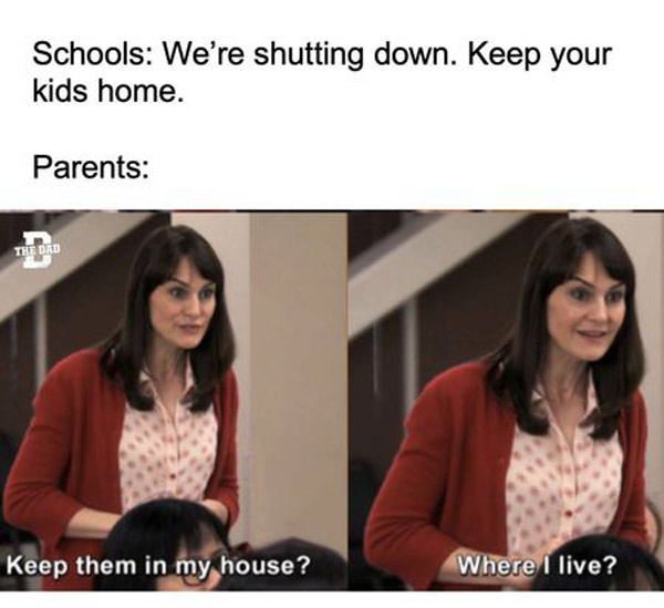 A Brilliant Collection of Homeschool Memes and Puns