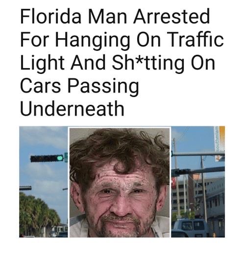 Top 12 Florida Memes of 2023 (New Collection)