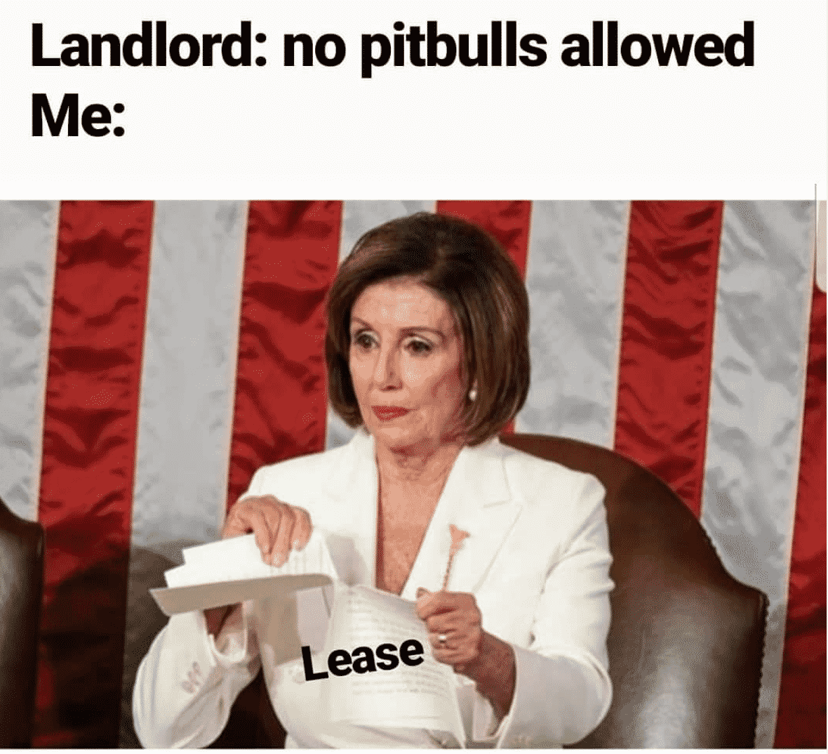 Take It Easy And Check These Nancy Pelosi Memes and Have A Good Chuckle!