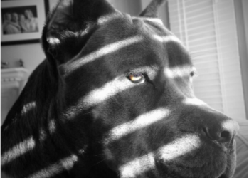 Our Favorite Collection of Dark Memes This Year