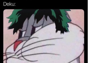 Collection of the Best MHA Memes For Manga Lovers Like You
