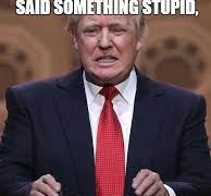 Anti-Trump Memes That Will Make You Laugh Hard!