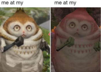 15 of the Most Fascinating and Sharable FFXIV Memes