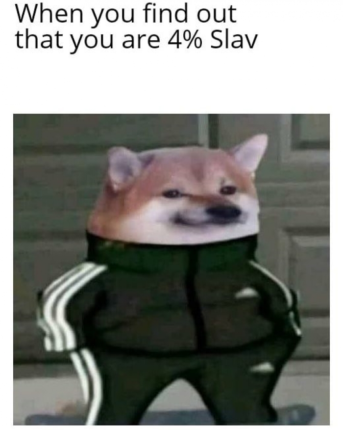 Take a Peek At These Slav Memes To Know More About These Fascinating People